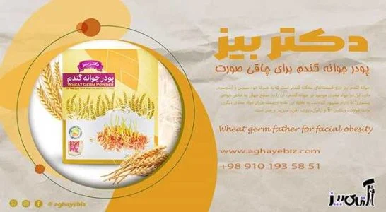 پودر جوانه گندم بعد از چند روز چاق میکند؟