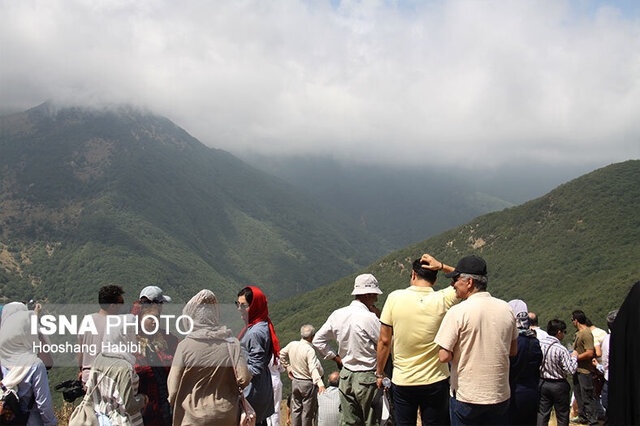 جشنواره ثبت جهانی جنگل ابر شاهرود برگزار می‌شود