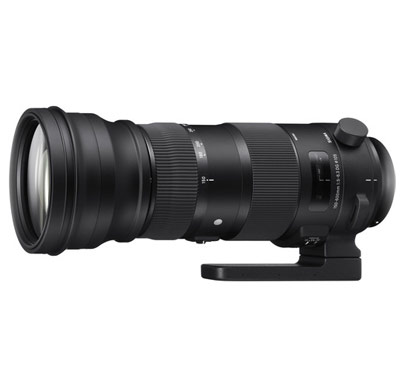 برسی لنز Sigma 150-600mm f/5-6.3 DG OS HSM Sports Lens for Nikon F