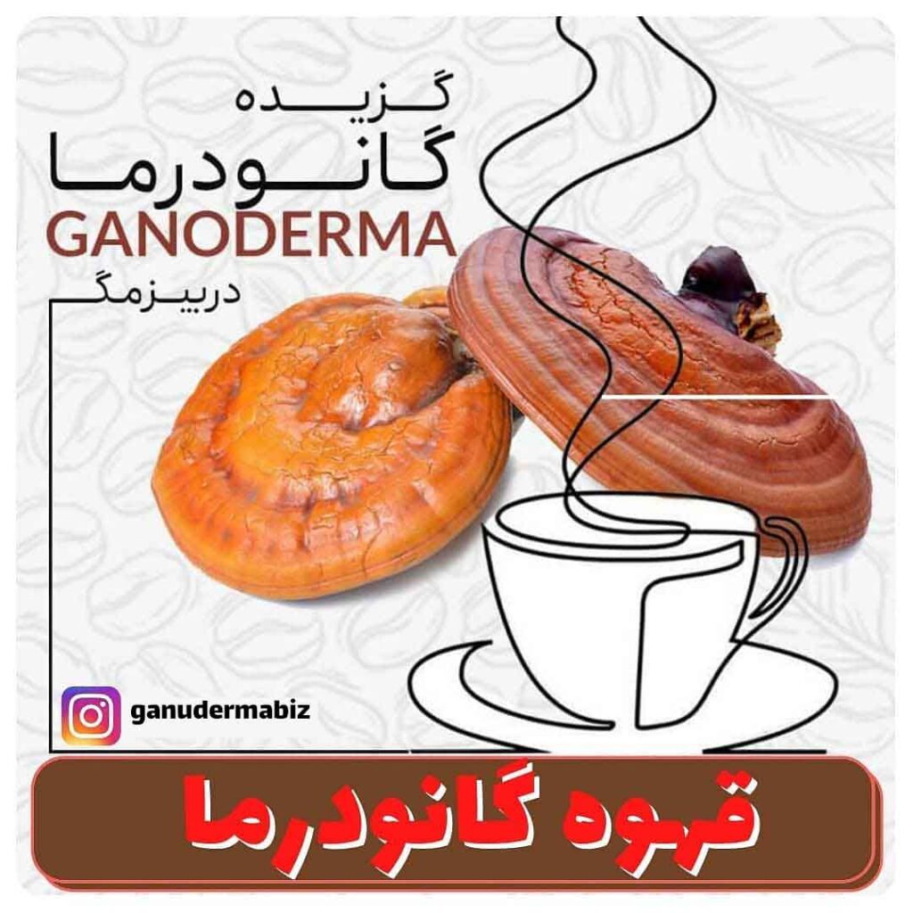قهوه لاته بيز خواص و موارد مصرف