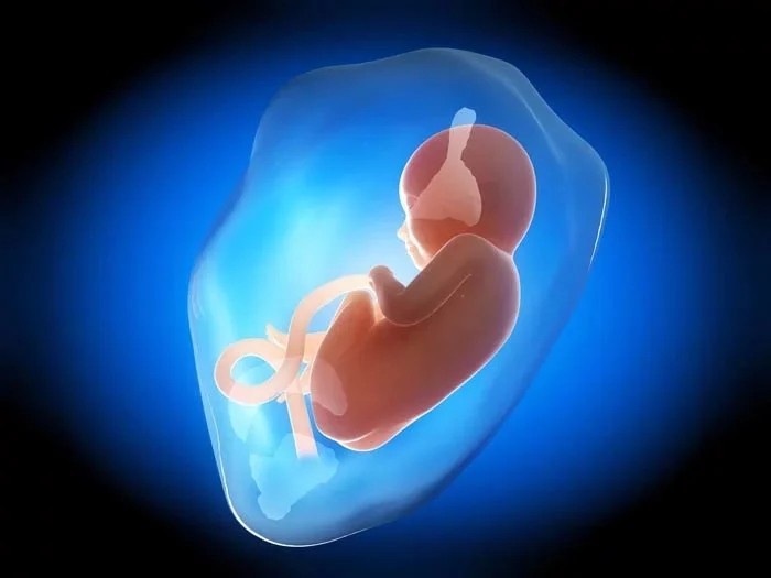 همه چیز درباره مایع آمنیوتیک (آب دور جنین)