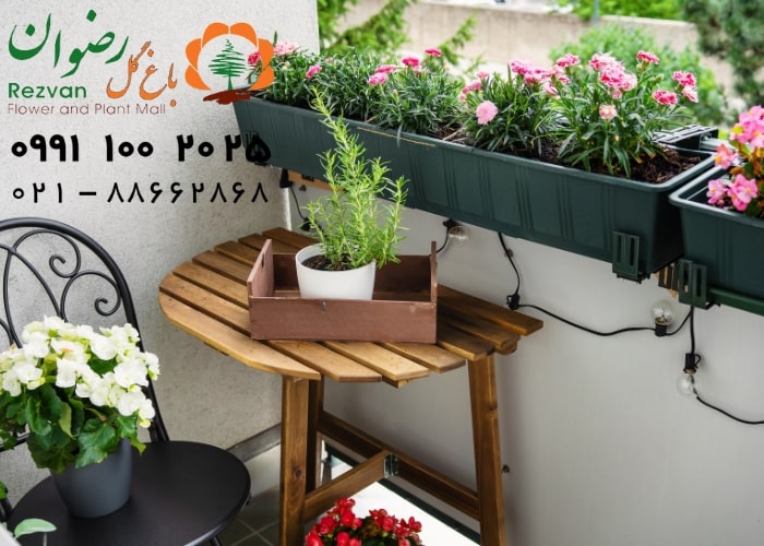 گیاهان مناسب برای بالکن | راهنمای کامل انتخاب و نگهداری گیاهان بالکنی
