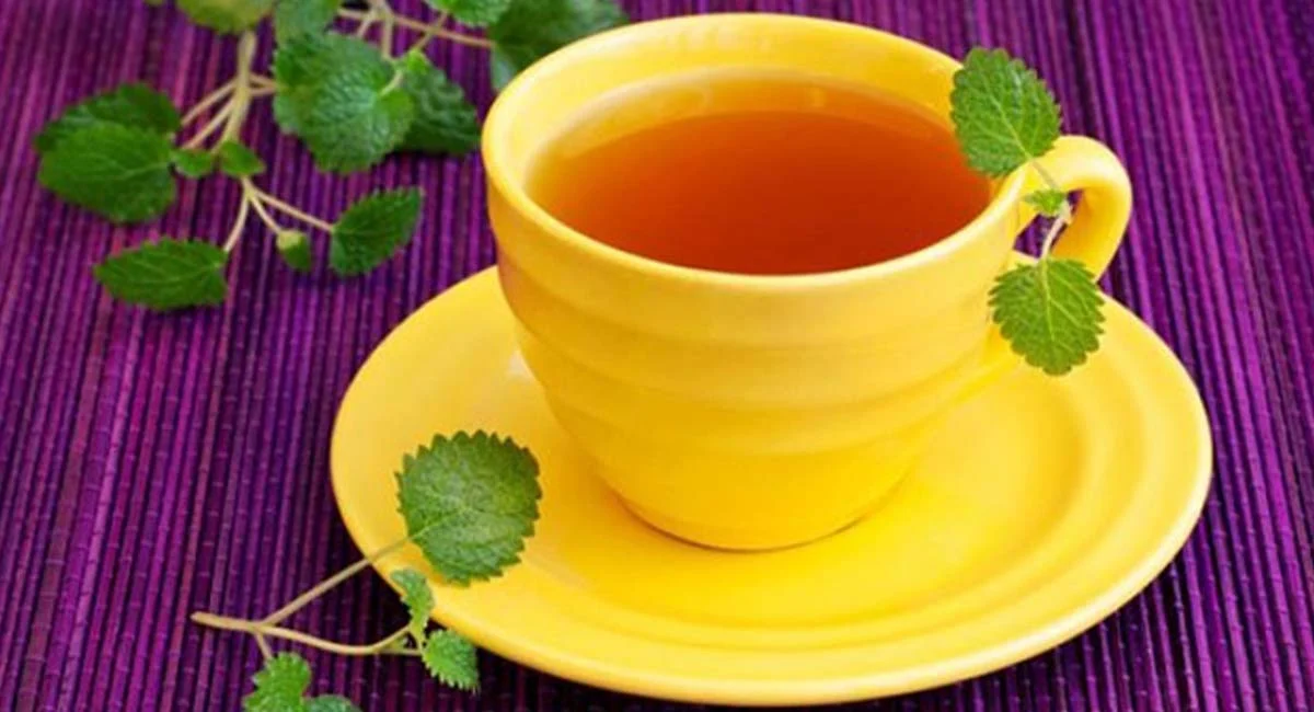 درمان | دمنوش بادرنجبویه گیاهی با خواص آرامبخش و تسکیندهنده